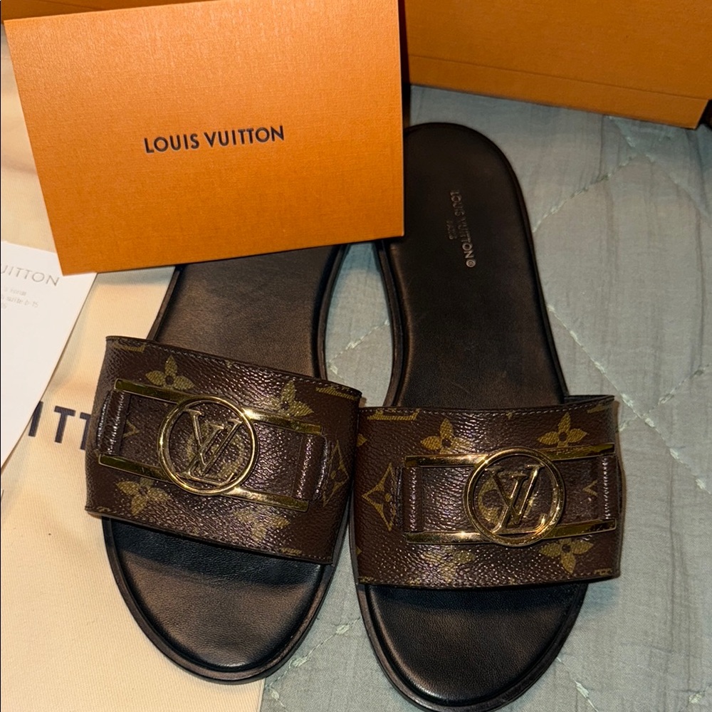 Louis Vuitton Brown and Gold Slide Sandals - Picture 2 of 6